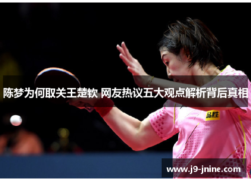 陈梦为何取关王楚钦 网友热议五大观点解析背后真相