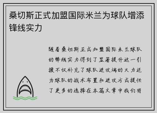 桑切斯正式加盟国际米兰为球队增添锋线实力 桑切斯正式加盟国际米兰为球队增添锋线实力